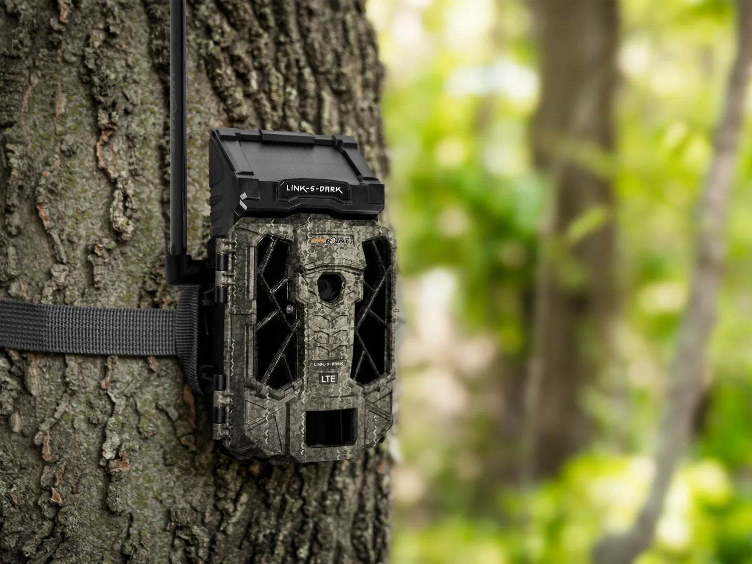 What is the Best Trail Camera to Re-purpose for Security
